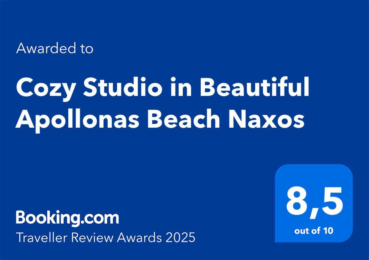 Cozy Studio In Beautiful Apollonas Beach Naxos Apollon  エクステリア 写真